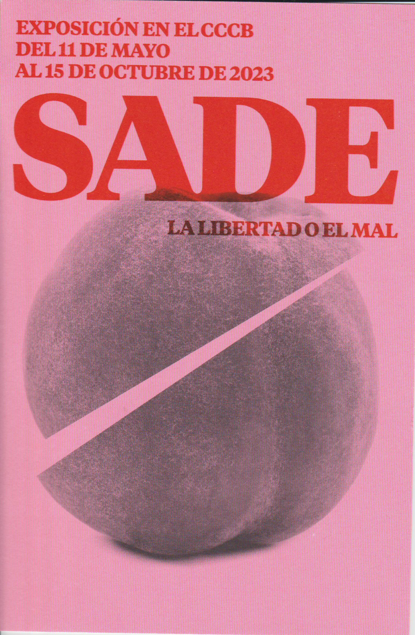 Scan_20250516 (7).png|500